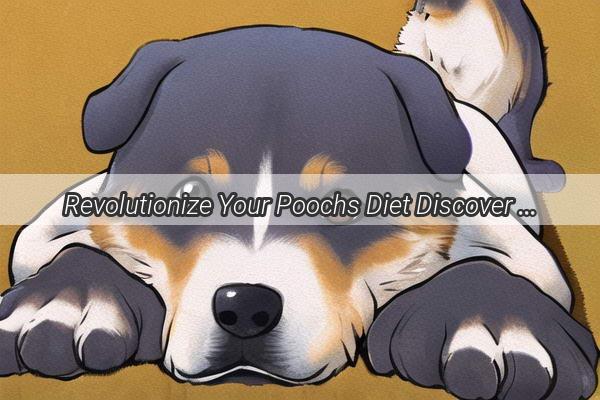 Revolutionize Your Poochs Diet Discover the Ultimate Alternatives to Dog Food